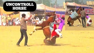 UNCONTROLL HORSE FROM RIDER IN BRAHAMPUR HORSE FAIR