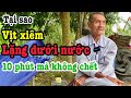 Tại Sao Vịt Xiêm Lặng Sâu Dưới Nước 10 Phút Mà Không Chết Có Bí Quyết Gì Không Phải Ai Cũng Biết