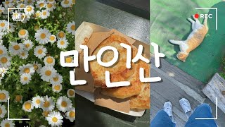 일상 vlog l 만인산 / 대전 여행지 / 대전 맛집 추천 / 대전 근교 여행 / 하소동 놀거리 / 자연휴양림