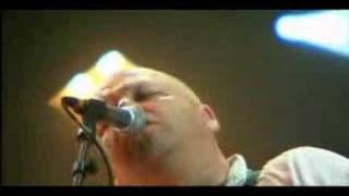 Pixies - Wave Of Mutilation Live