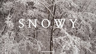 Sounds of Falling Snow and Snowy Landscapes | Winter Nature Healing Scenery | Snowfall ASMR