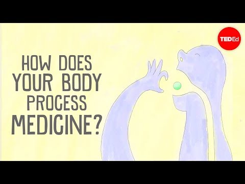 How does your body process medicine? - Céline Valéry How does your body process medicine? - Céline Valéry