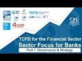 TCFD for Banks - Part I for Brazil