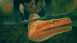 Counter Attack African Rock Python