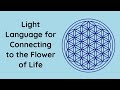 Flower of Life Light Language with Orion and Archangel Metatron