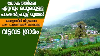 വട്ടവട കേരളത്തിന്റെ പഴം, പച്ചക്കറി അത്ഭുതലോകം #vattavada #munnar #kanthalloor #fruit #vegetables