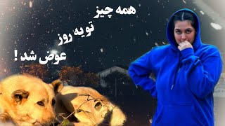 یه صبح ساده که به ماجراجویی بزرگ تبدیل شد!