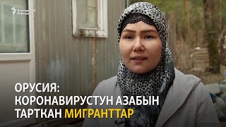 Орусия: Коронавирустун азабын тарткан мигранттар