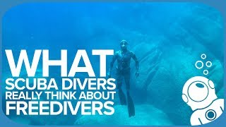 What Scuba Divers REALLY Think About Freedivers