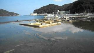 Onagawa (女川) Port Tsunami Survey 6 months later (Sept 2011)