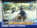 2014.06.24新聞龍捲風part3　平均身高190cm？　神秘「巨人島」難解的長高秘密？