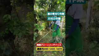 茨城県　水戸市　庭の草刈り　雑草処理　庭木手入れ除草　草刈片付け　雑草厄介　困ってる　頼みたい#shorts 　