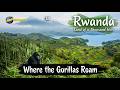 RWANDA: From Tragedy to Triumph 🇷🇼 | Africa's Singapore