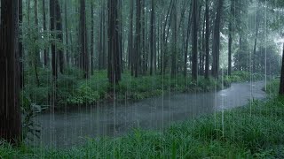 The beautiful little river is raining(407) , sleep, relax, meditate, study, work, ASMR