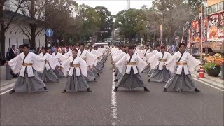 【公式】関東学院大学”誇咲”2015「暁」　神奈川よさこい　日本大通り