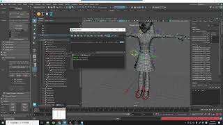 Troubleshooting of "No module named pymel" for Spring Magic 3.5a Python 3 in Maya