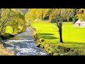 🍂 🍁 Golden Autumn in the Most Beautiful Swiss Village 🇨🇭 🎃 Autumn Vibes in Switzerland | #swissview