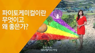 파이토케미컬이란 무엇이고 왜 좋은가? - (20120721_422회 방송)_색다른 밥상, 컬러 채소