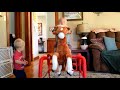 Rockin' Rider Lucky Talking Plush Spring Horse