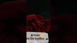 ছেলেরা সব পারে।পারেনা শুধু...!!#sad #couplegoals #sadstatus #broken #brokenheart #bdsad