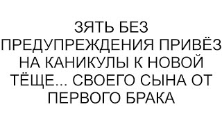 Зять без предупреждения привёз на каникулы к новой тёще... своего сына от первого брака