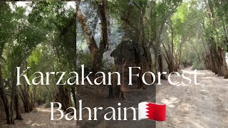 Karzakan Forest #bahrain #forest