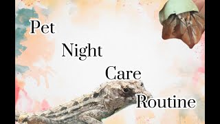 ✨Pet Night Care Routine!✨ Read description!