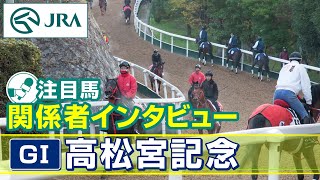 【注目馬 関係者インタビュー】2024年 高松宮記念｜JRA公式