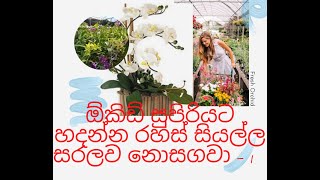 How to plant orchid sinhala - ඕකිඩ් සිටුවීම හරියටම