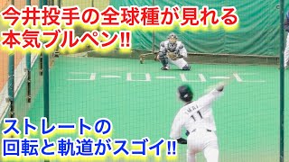 今井投手の全球種が観れる本気ブルペン！ストレートの回転と軌道がスゴ過ぎる！