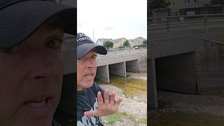 Caleb Harris. VANISHED HERE. Corpus Christi Texas