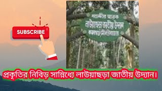 লাউয়াছড়া জাতীয় উদ্যান।। মৌলভীবাজার ঘুরে আসুন।। Lawachara National Forest