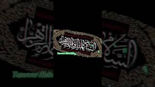 ayyam e fatima status||shahadat bibi fatima status||ayyam e fatima whatsapp status  #viral #karbala