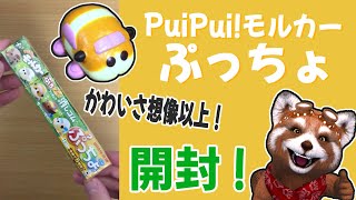 かわいさ想像以上！等身大puipui!モルカー消しゴム付きぷっちょ。