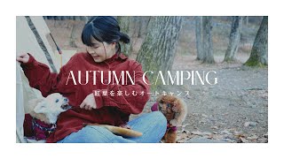 秋の味覚を楽しむソロキャンプ | 12月でも紅葉が楽しめるキャンプ場 | 犬とキャンプ