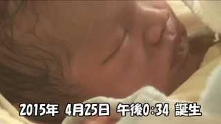 FURUSATOHAKATA家族誕生2015.4.25完成