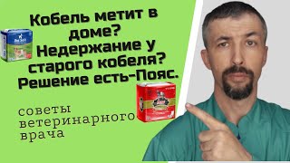 Гигиенические пояса для кобелей