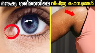 മനുഷ്യ ശരീരത്തിലെ വിചിത്ര രഹസ്യങ്ങൾ 😳🔥| Intresting human facts