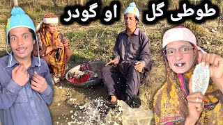 Tuti Gull Aw Godar || Pashto New Funny Video 2023 || Tuti Gull Official