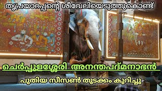 ചെർപ്പുളശ്ശേരി അനന്തപദ്മനാഭൻ തൃപ്രയാർ ക്ഷേത്രത്തിൽ cherpulasery ananthapadmanabhan thriprayar seveli