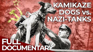 World War Weird | Episode 3: Nazi Gold & Stalin's Canine Bombs | Free Documentary History