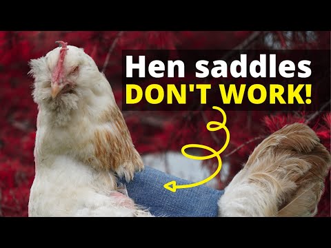 Are chicken saddles good?