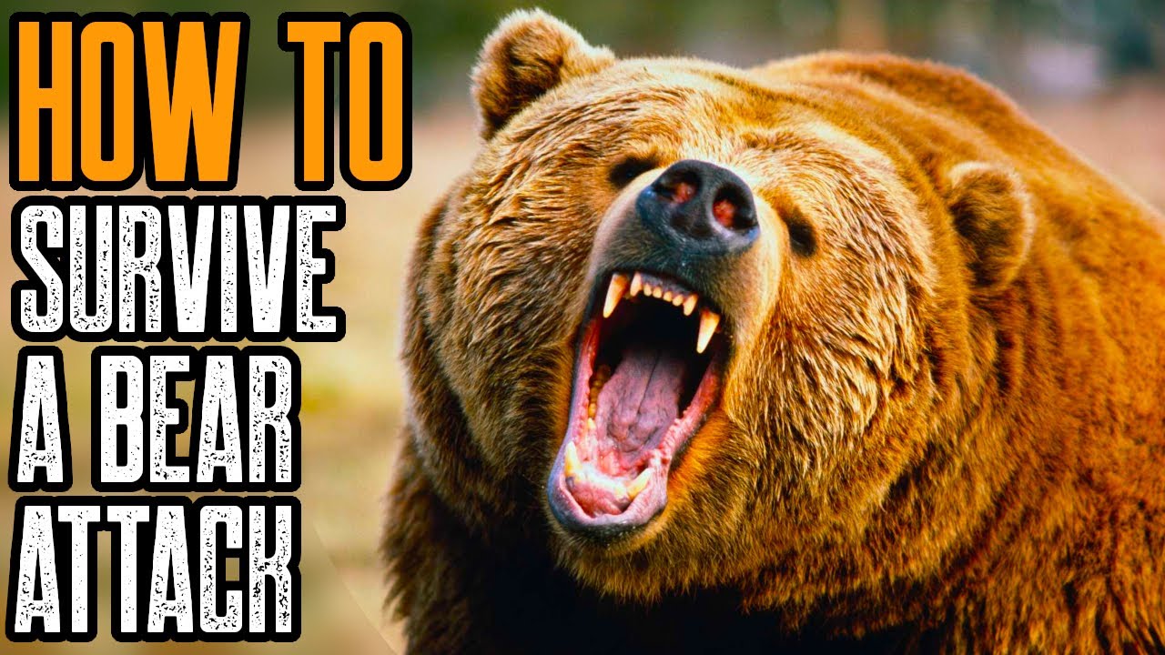 HOW TO SURVIVE A BEAR ATTACK | BEST TIPS TO SURVIVE A GRIZZLY BEAR ...