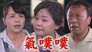 【一家團圓】EP144 天賜找美蓮又被抓包麗華氣到不行 Eden對曉萱另有情感?!│Family Reunion