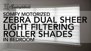 SPRINGBLINDS: SOMFY Motorized Zebra Basic Dual Sheer Light Filtering Roller Shades in Bedroom