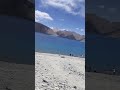 Such a Beautiful place Travel with meena # pangong lake # Leh# shorts vlog