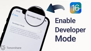 How to Enable iPhone Developer Mode on New iOS 17/16 - 2 Ways in 2024