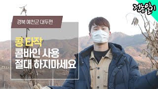 EP 9 단백질 왕 '콩!'  타작 그 현장을 가 보았습니다. [경북 예천 콩/대두 편]