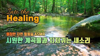 울창한 산속 시원한 계곡물과 지저귀는 새소리 | ASMR | 힐링영상 | 힐링소리 | 스트레스해소 | 수면유도 | 백색소음 | 8시간