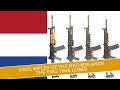 Galil rifles of the Netherlands. The two time loser